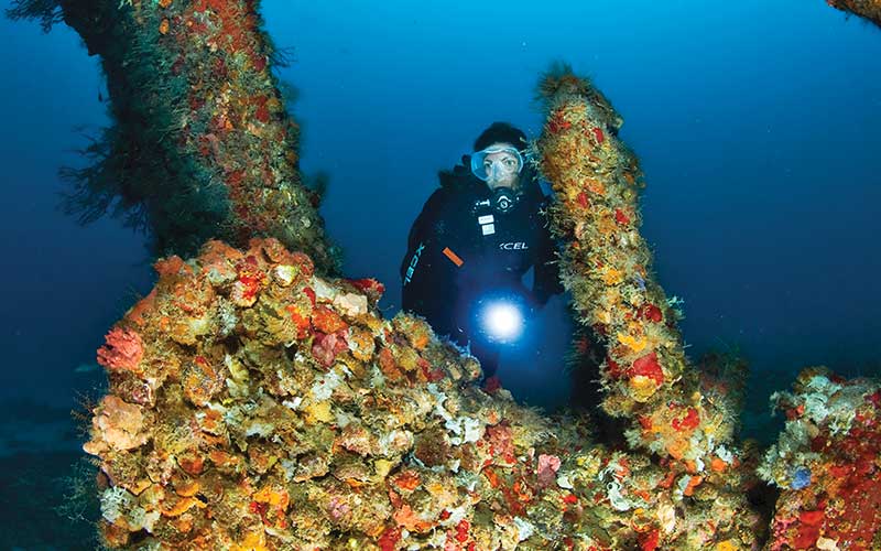 Female diver approaches a sponge-encrusted wreck