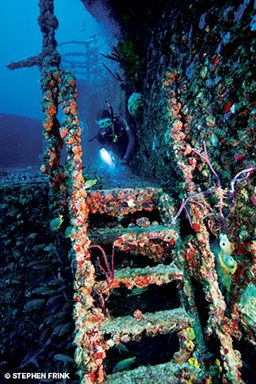 Diver explores the exterior of a deep, sponge-encrusted shipwreck