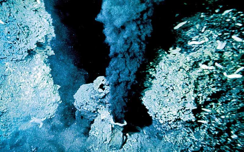 Life at a hydrothermal vent looks like a submerged cave