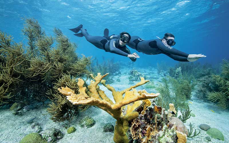 Two freedivers swim above corals