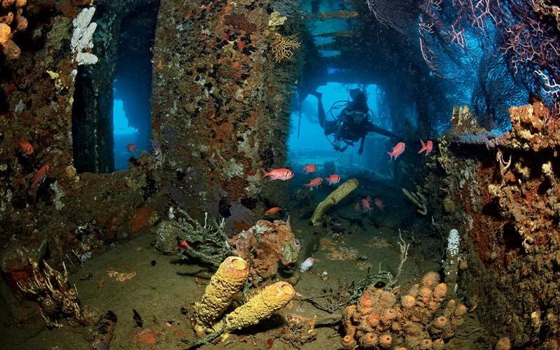 Diver swims through a shipwreck covered in soft sponges and corals