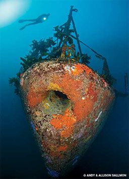 Sponge-encrusted bow of a sunken ship