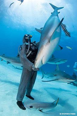Diver standing surrounding with sharks and giant fish