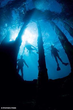 Three divers explore sunken columns