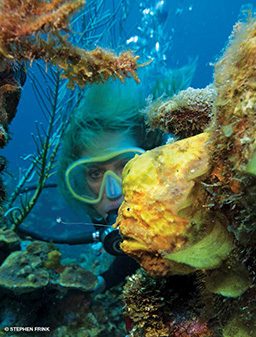 Blonde diver approaches lumpy yellow frogfish