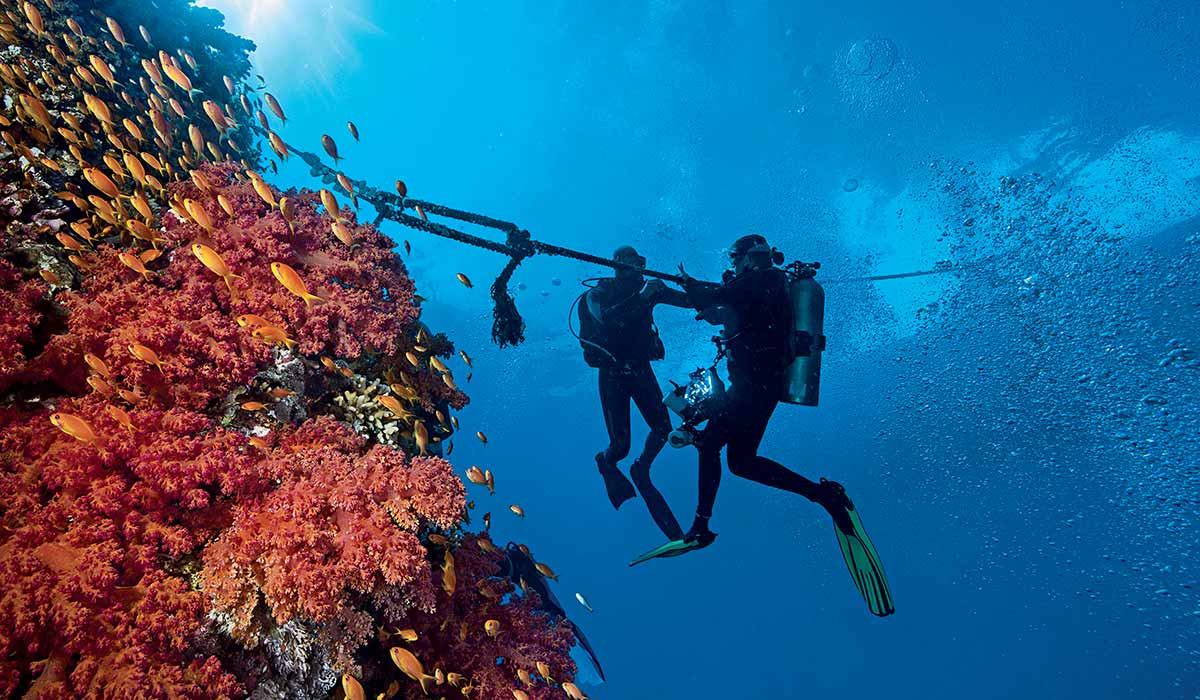 Two divers holding a mooring line next to reef