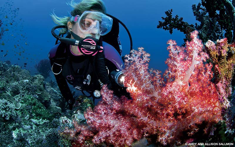 Female diver swims next to pink corals