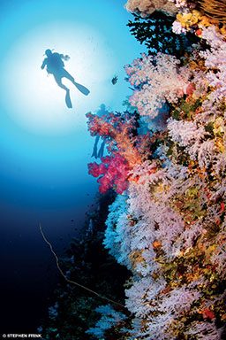 A diver swims up the coral wall at Taveuni