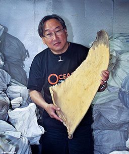Michael Aw holds the fin of a whale shark, a tragic artifact of the shark-fin trade.