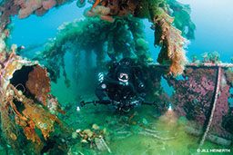 Diver photographs a coral-encrusted shipwreck