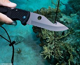 A jagged dive knife with kelp in the background