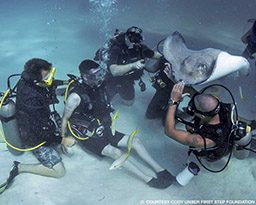Five divers float near sting ray