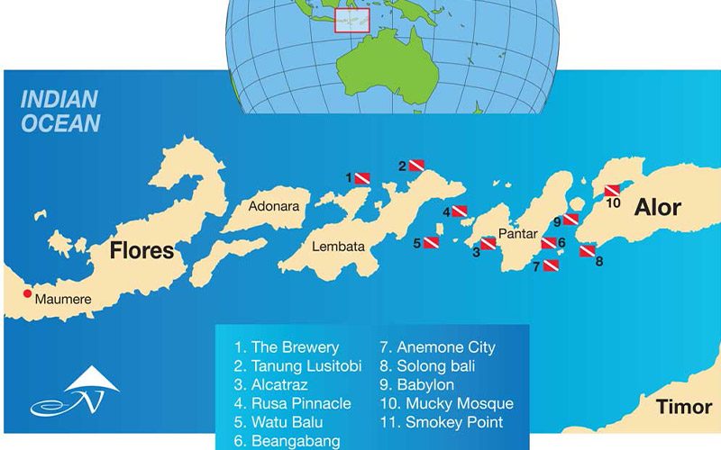 Illustrated map of the Island of Flores and shows the best diving sites in the region 