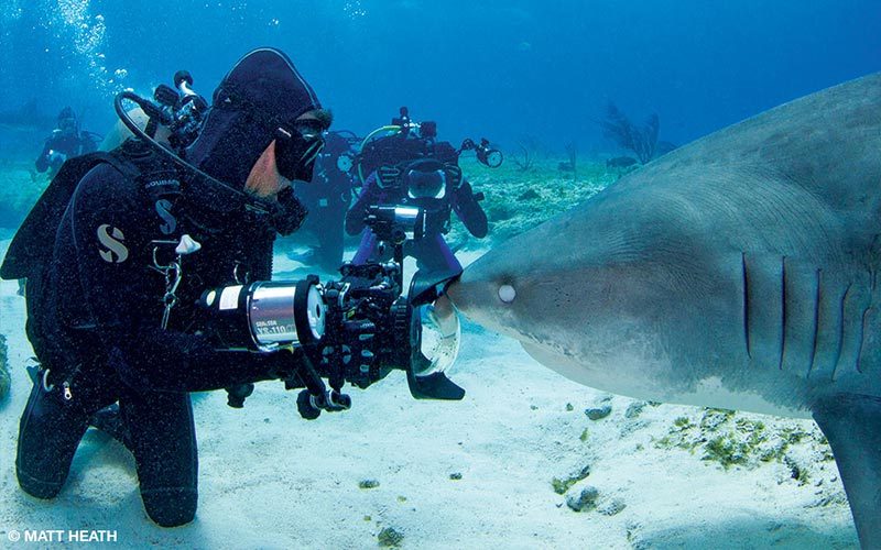 Two divers get up close and photograph a shark