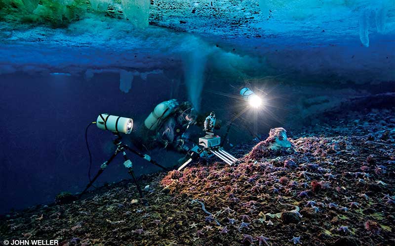 A film crew is under a sheet of ice filming the underwater world