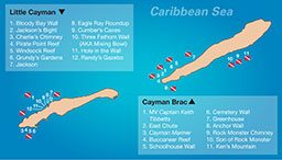 An illustrated map of the Caribbean sea shows the best places to dive