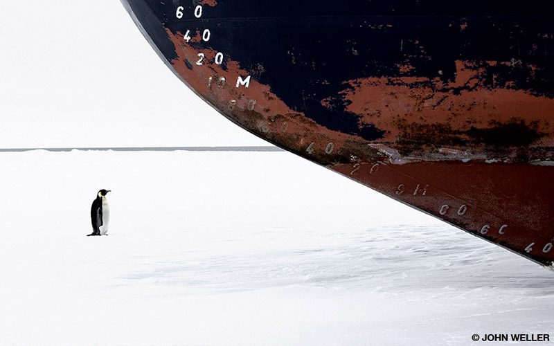 Penguin at the base of an ice breaker