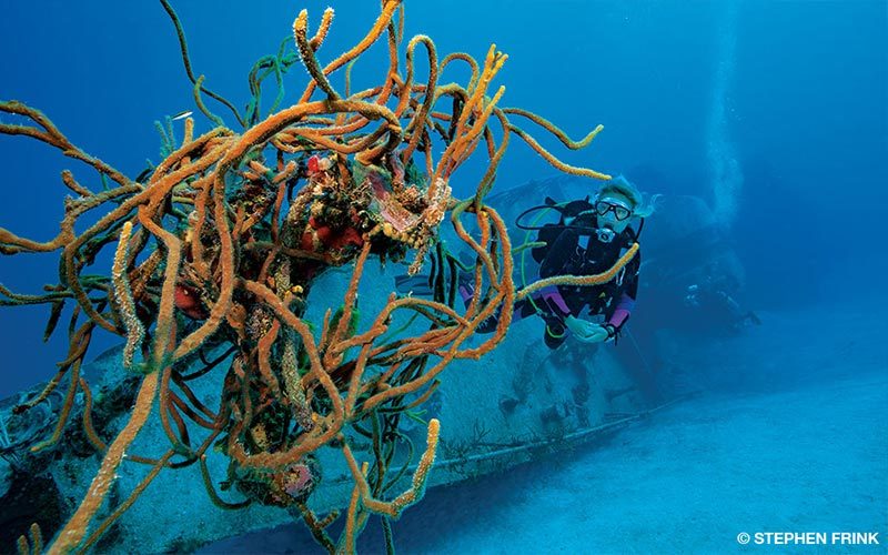 The shipwrecked Tibbetts is photographed with corals and a diver