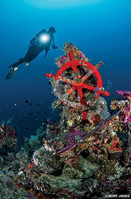 Diver near a red ship wheel