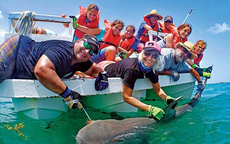 Researchers and students on a boat, tag a shark