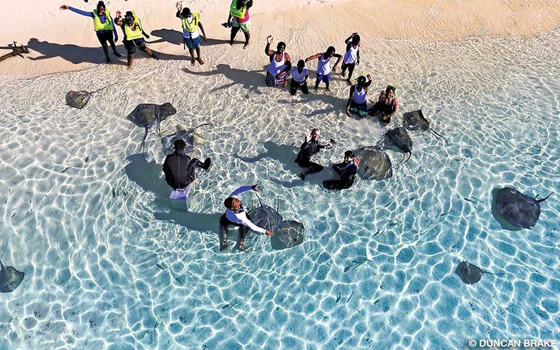 Students at a beach are exposed to manta rays