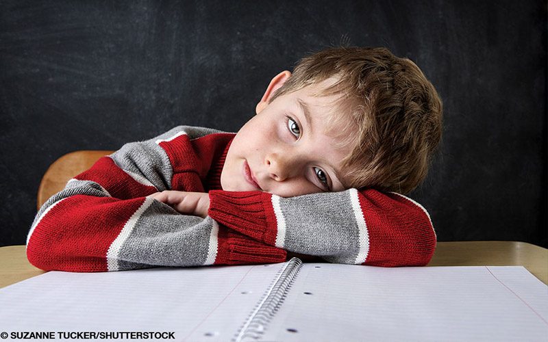 A child in a red and gray sweater, leans his head on a notebook