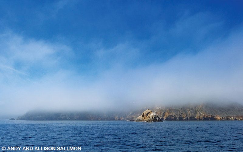 A thick fog surrounds San Miguel Island.