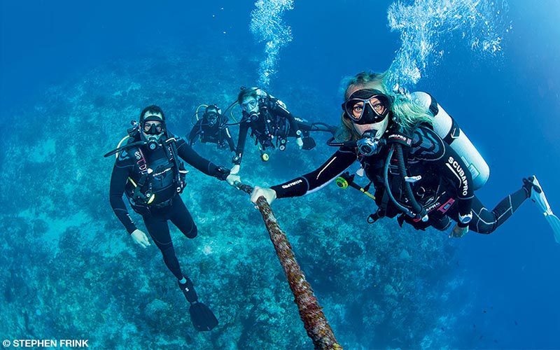 Four divers pose underwater