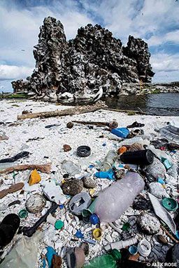 A beach is riddled with discarded plastics and other garbage