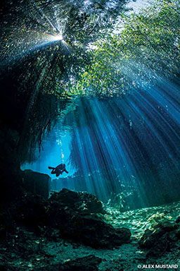 A diver swims through Casa Cenote