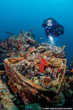 A diver swims over a coral-infested shipwreck 