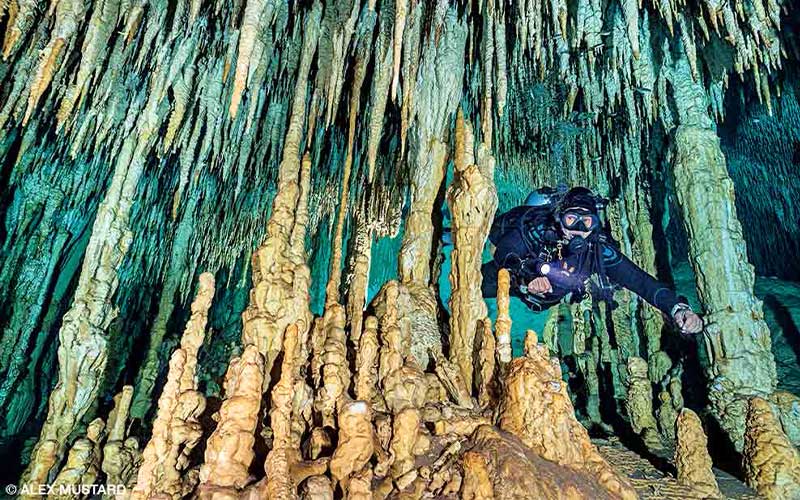 Diver swims through impressive-looking Dream Gate Cenote formations