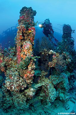 Divers near coral-encrusted shipwreck