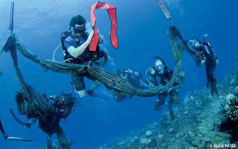 Several divers wrangle a discarded net with the goal of removing it from the ocean