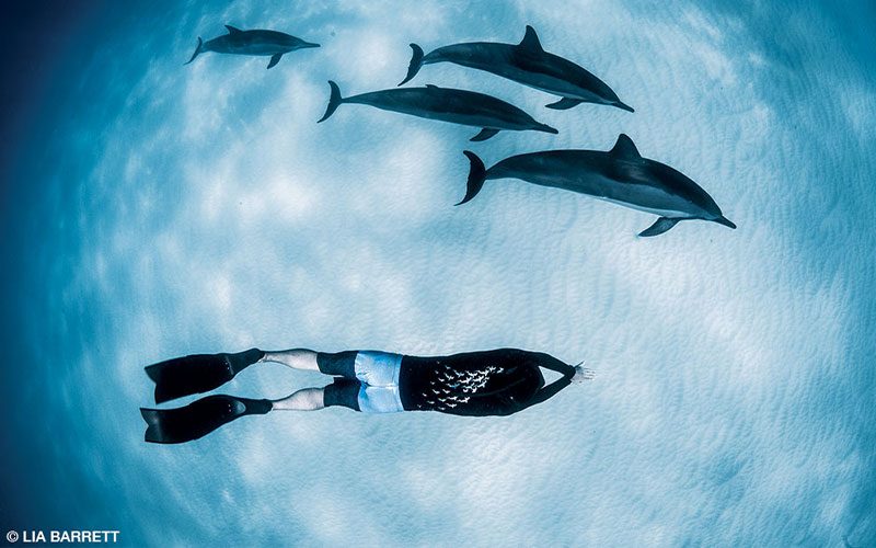 Freediver swims near dolphins