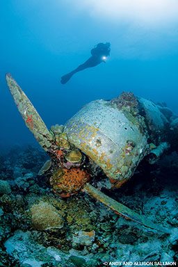 A diver floats above an old wrecked seaplane 