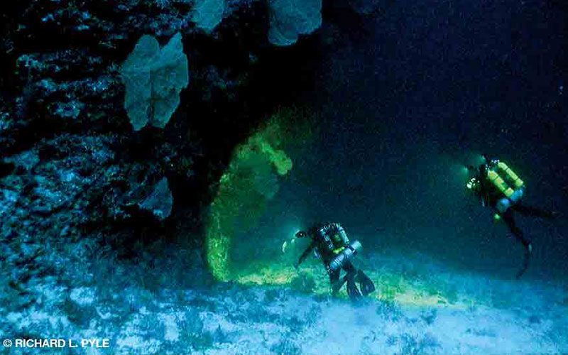 Two divers explore a cave. They are holding flashlights. The light looks green underwater