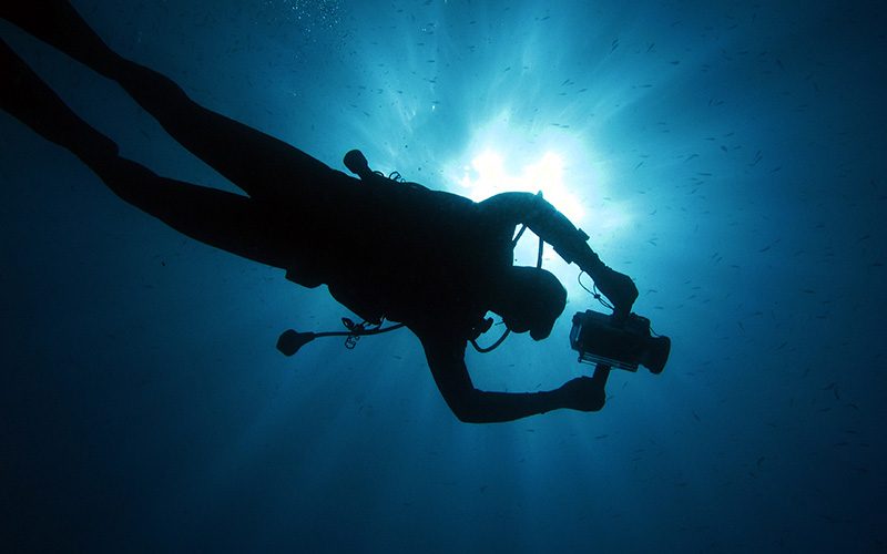 A diver swims overhead holding a camera