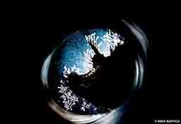 A scorpionfish has a swirly effect thanks to lighting techniques.