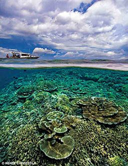 This photo shows a coral reef below water and a boat drifting above.