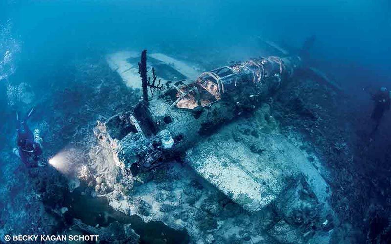 A sunken aircraft is covered in barnacles and makes a great place to dive. 