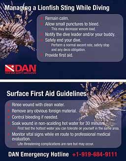 An infographic from DAN on how to manage a lionfish sting while diving.