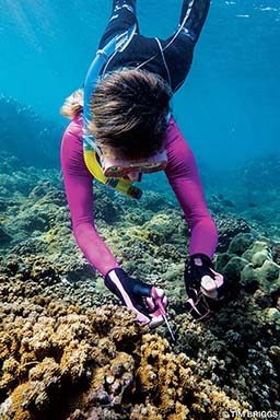 A female snorkeler uses scissors to clean up a reef.
