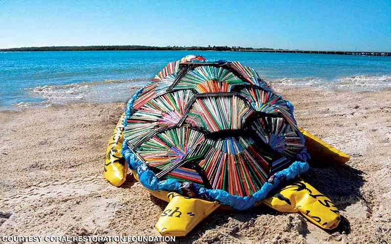 An art installation made of plastic pollution, and in the shape of a turtle, rests on the sand