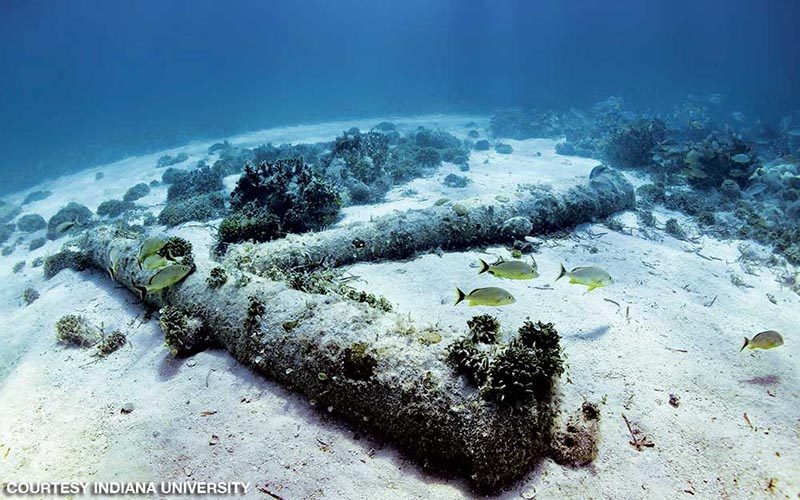 Several submerged cannons in the waters in the Florida Keys