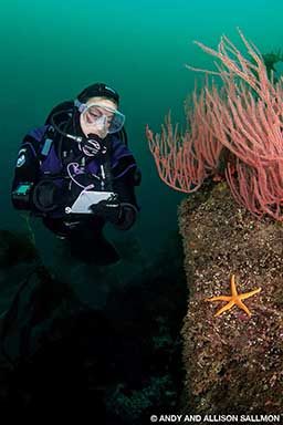 A female diver surveys a piece of red coral and takes notes