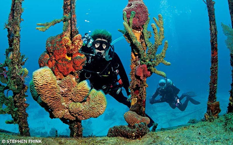 A female diver and her buddy explores a reef