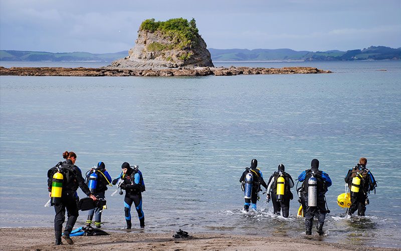 Seven divers walk into ocean for beach entry