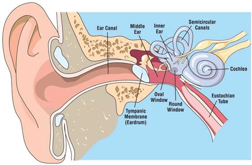 Баротравма это простыми словами в медицине. Баротравма барабанной перепонки. Баротравма среднего уха. Баротравма внутреннего уха.