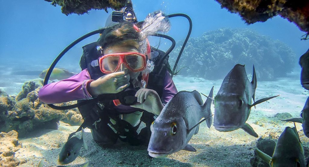 How Your Ears Respond to Pressure Divers Alert Network